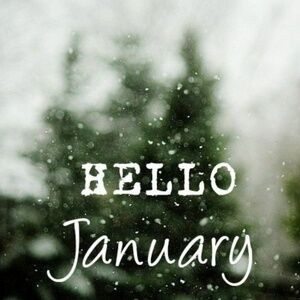 Meet your Posher, Cate